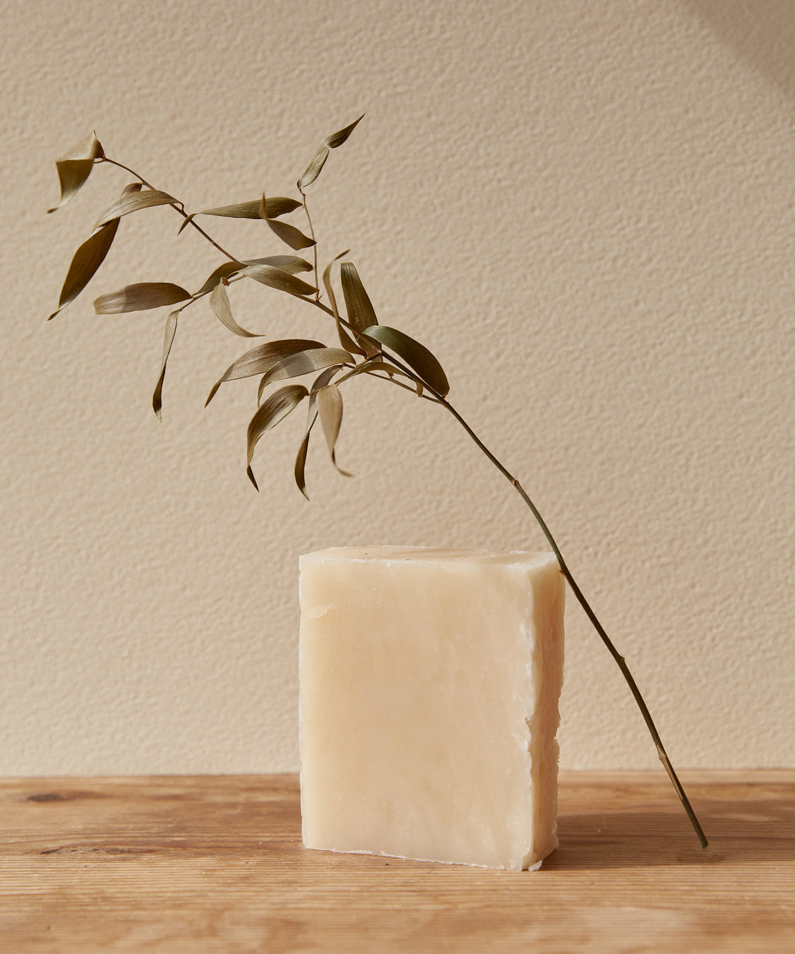 A rectangular bar of pale cream soap standing on a wooden surface against a warm beige wall, with a dried leafy branch placed behind it.