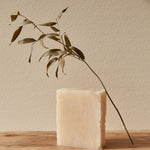 A rectangular bar of pale cream soap standing on a wooden surface against a warm beige wall, with a dried leafy branch placed behind it.