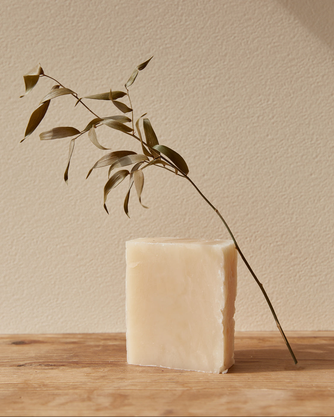 A rectangular bar of pale cream soap standing on a wooden surface against a warm beige wall, with a dried leafy branch placed behind it.
